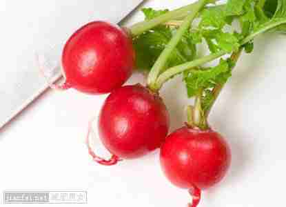 生吃萝卜的减肥功效