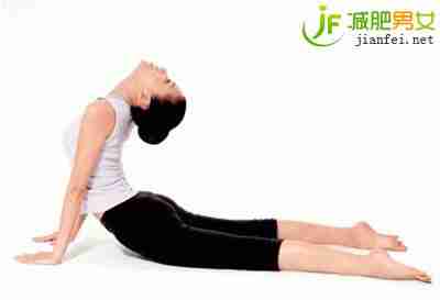 www.szbendao.cn